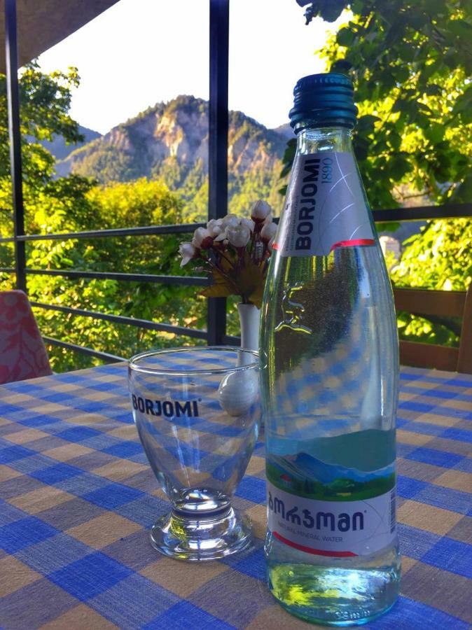Borjomi Veranda Exterior photo